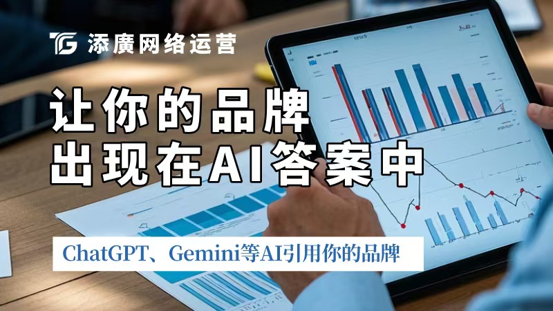 海外GEO优化